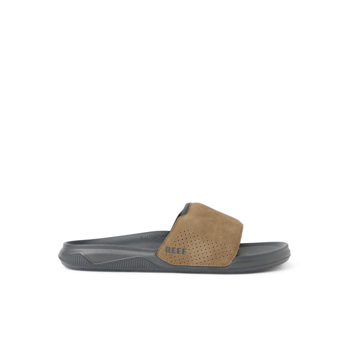 Tailslide