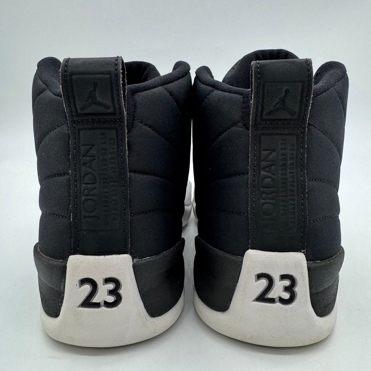 Jordan 12 Nylon