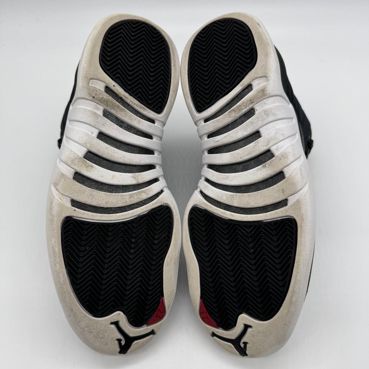 Jordan 12 Nylon