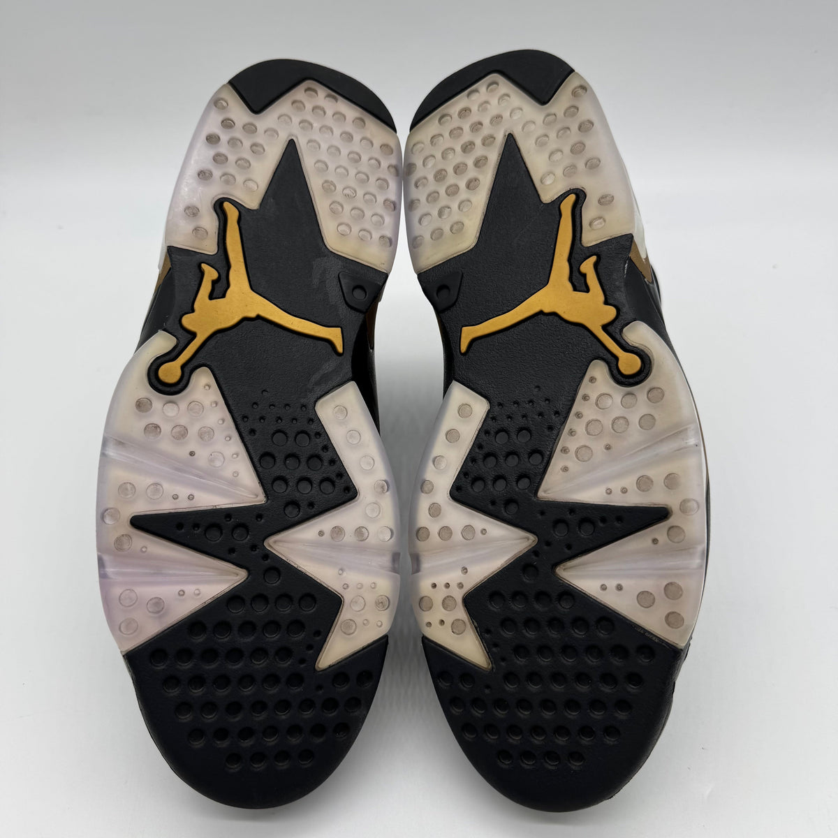 Jordan 6 DMP (2020)