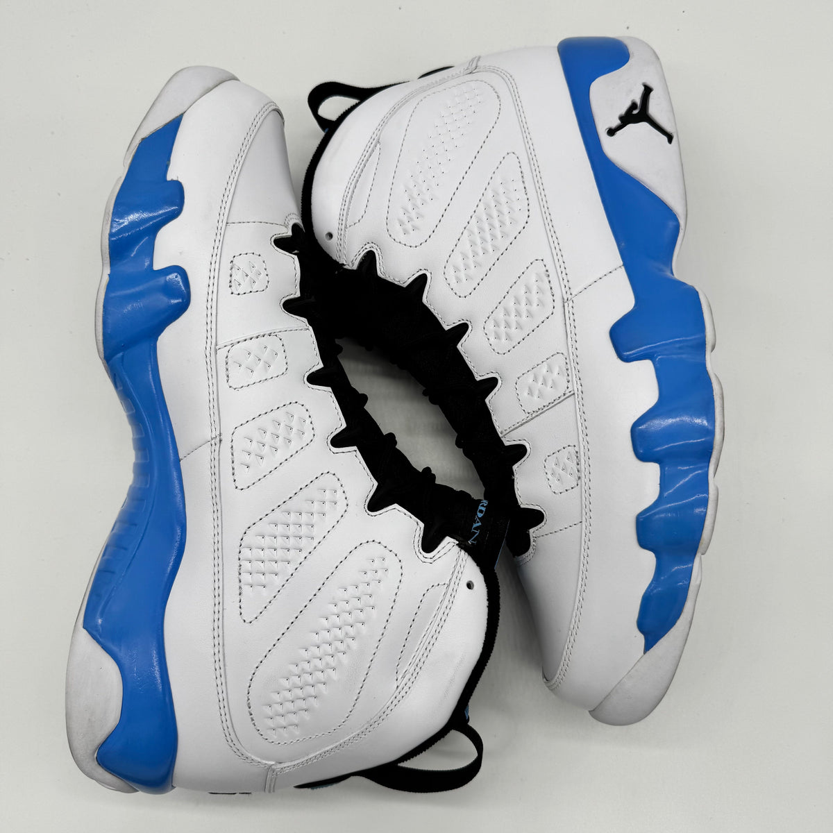 Jordan 9 Powder (2010)