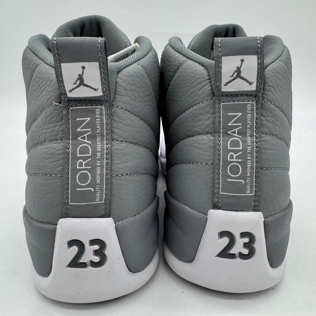 Jordan 12 Stealth